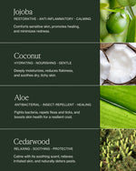 Illustration of key ingredients for Verdin Dog Care Products