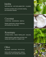 Illustration of key ingredients for Verdin Dog Care Products