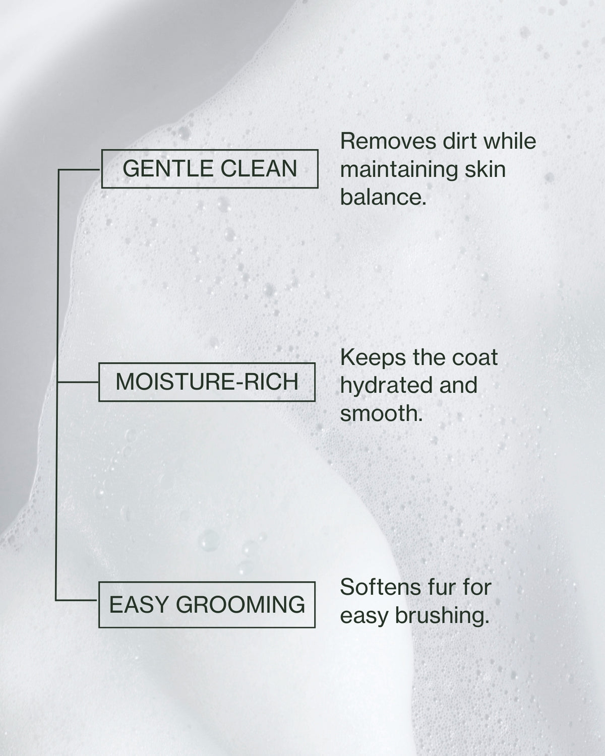 Photo Illustration of key benefits for Verdin Dog Care Products