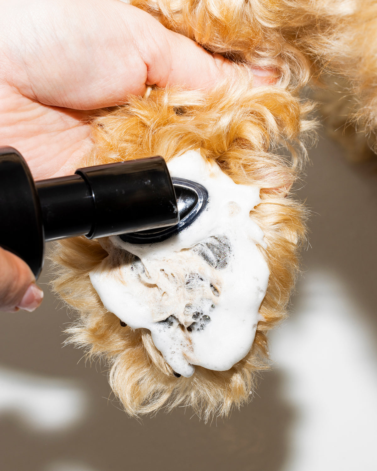 Photo image of a hand applying Verdin Paw Wash for Verdin Dog Shampoo