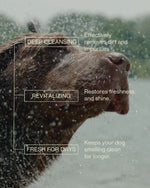 Video of key benefits for Verdin Dog Care Products