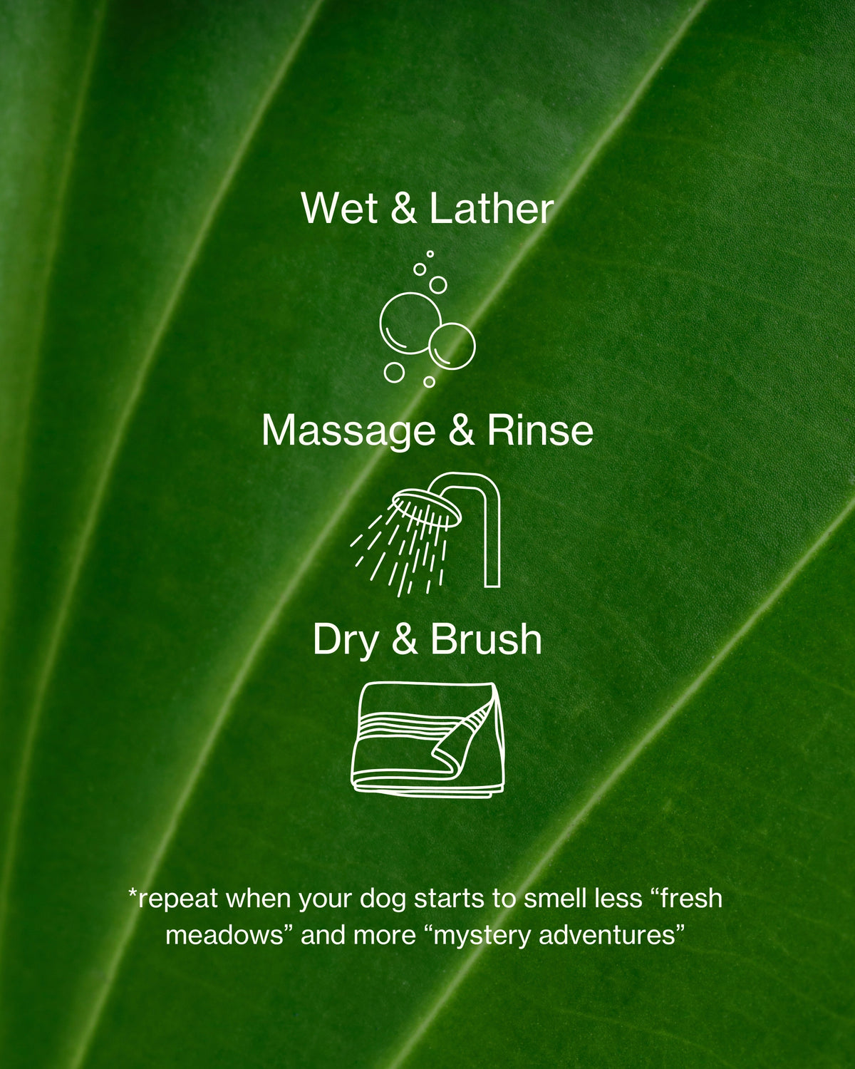Photo Montage and Illustration of Verdin Dog Shampoo Benefits as a Text Overlay On a Green Leaf with Instructions for How To Wash Your Dog
