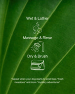 Photo Montage and Illustration of Verdin Dog Shampoo Benefits as a Text Overlay On a Green Leaf with Instructions for How To Wash Your Dog