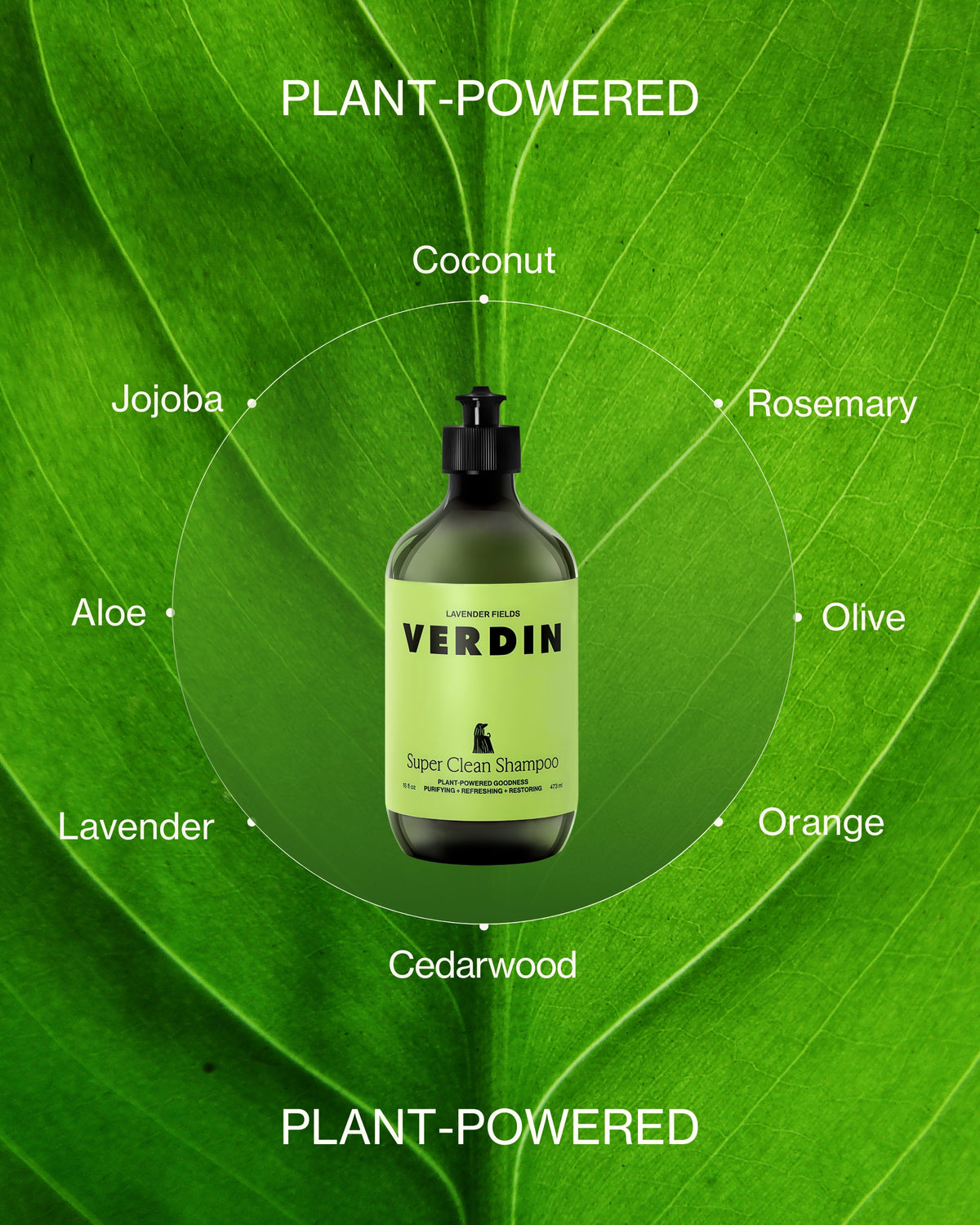 Photo Montage and Illustration of Verdin Dog Shampoo On a Green Leaf with Descriptive Text Overlay