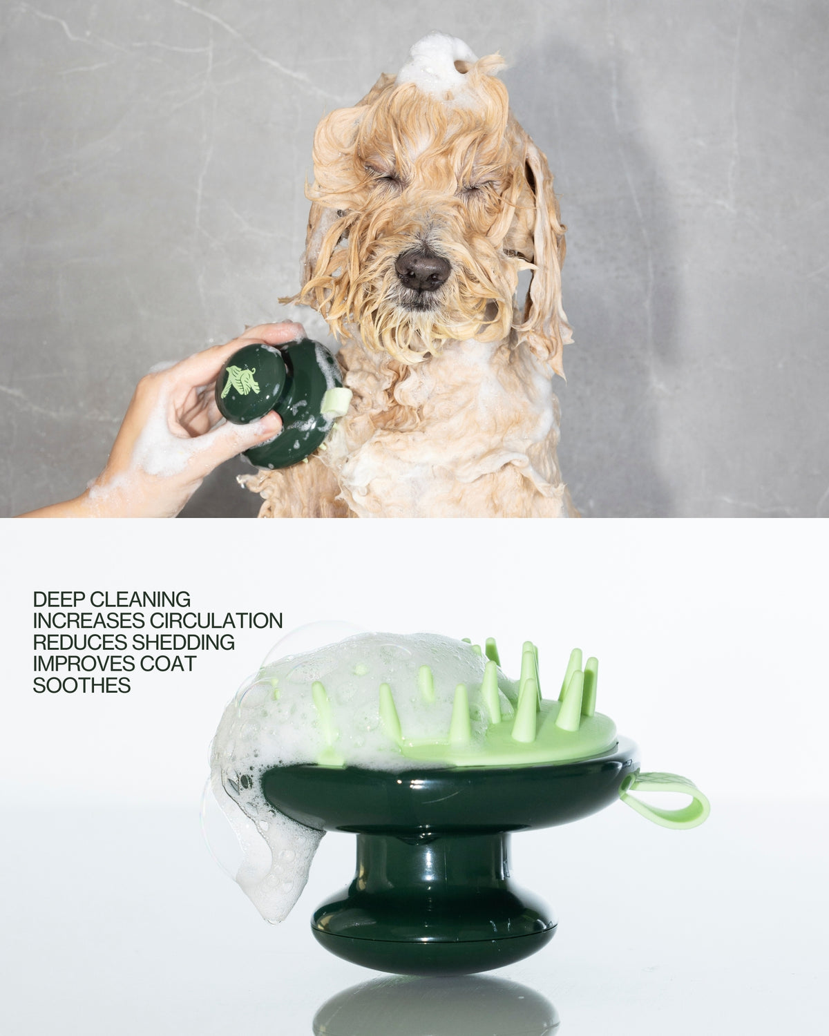 Photo Montage and Illustration of a Dog in the Bath with Verdin Dog Shampoo and Massage Brush with Text Overlay Deep Cleaning, Increases Circulation, Reduces Sheddding, Improves Coat and Soothes